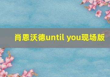 肖恩沃德until you现场版